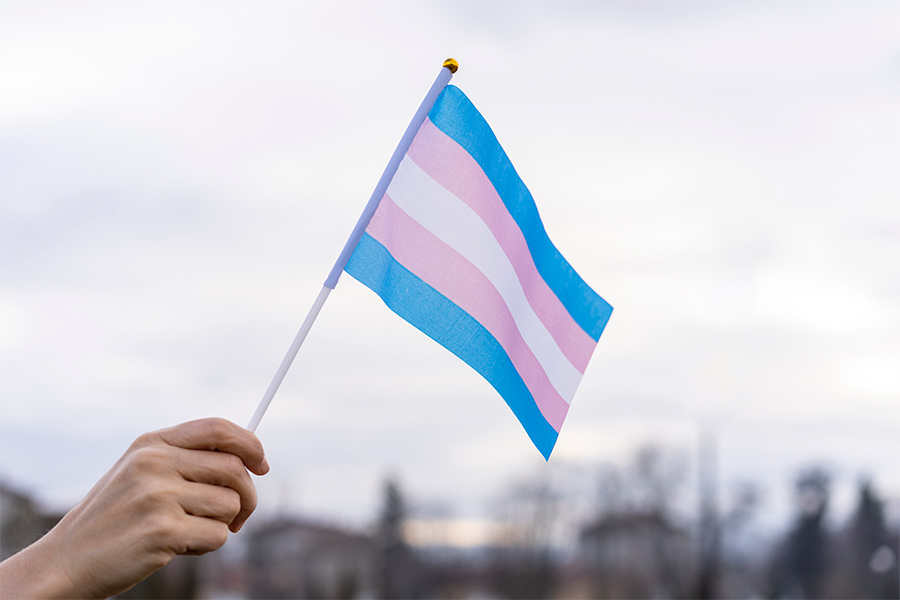 A transgender flag is pictured