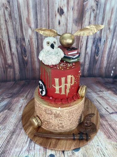 A custom Harry Potter celebration cake